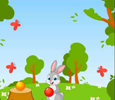 Rabbit Bubble Shooter